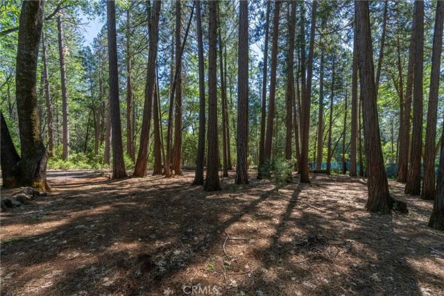 4715 Cody Lane, Forest Ranch, CA 95942