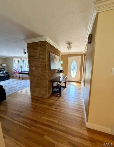 12216 CHERYL Court, St Louis, MO 63128
