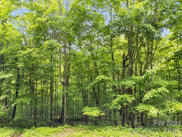 65 Bee Tree Lane, Mars Hill, NC 28754