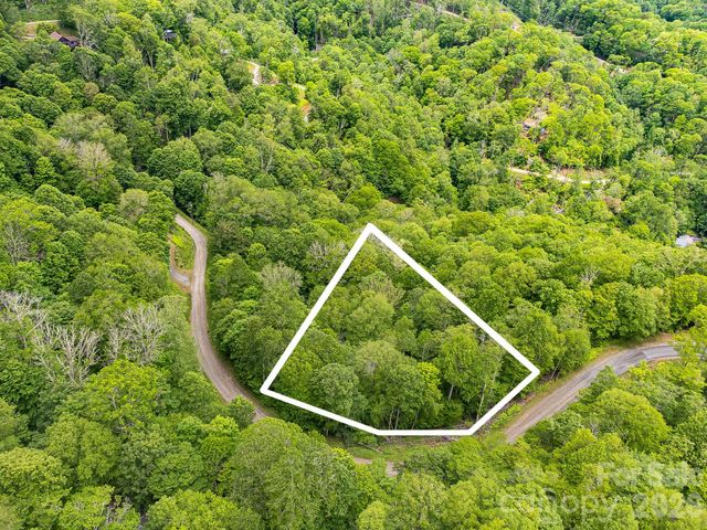 65 Bee Tree Lane, Mars Hill, NC 28754