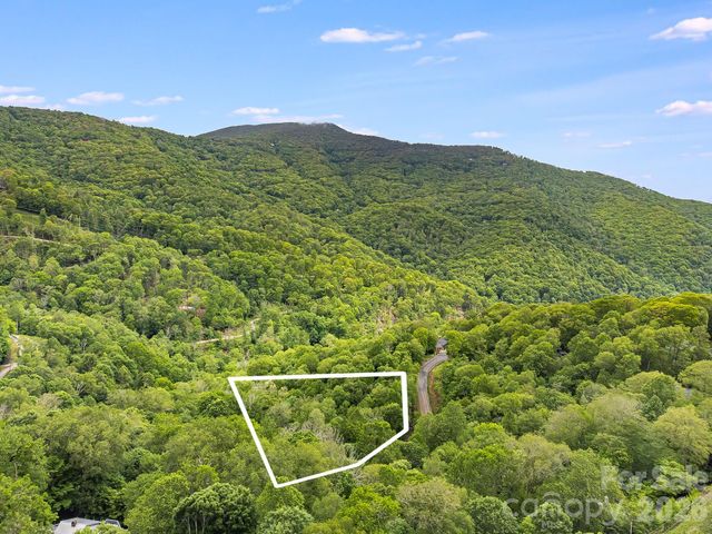 65 Bee Tree Lane, Mars Hill, NC 28754