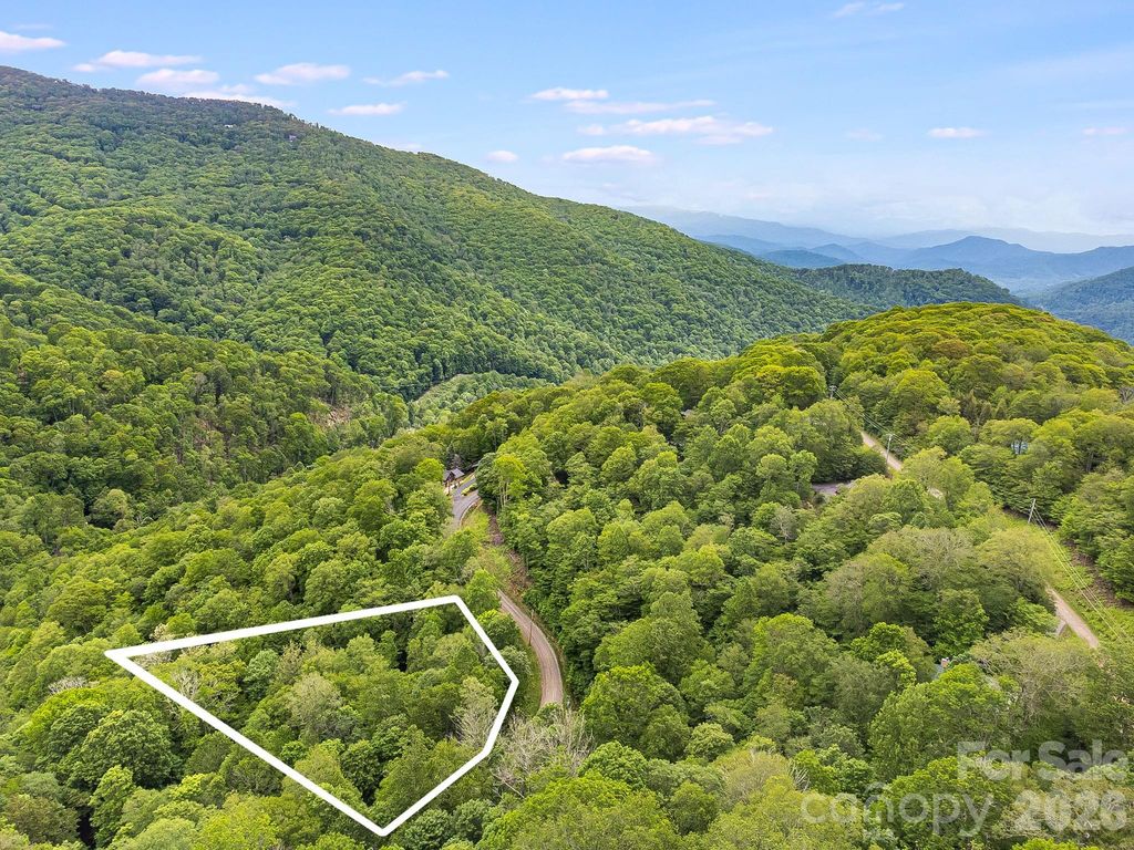 65 Bee Tree Lane, Mars Hill, NC 28754