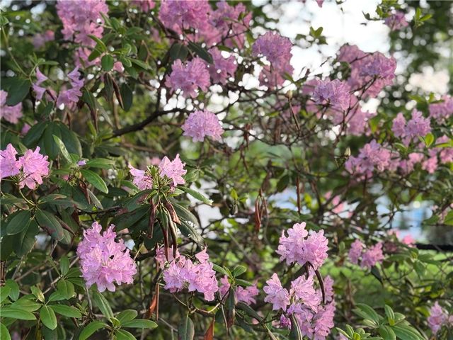 43 SANDYS Lane, Horseheads, NY 14845