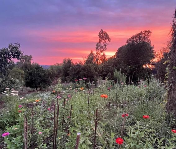 5741 Rainbow Heights Road, Fallbrook, CA 92028