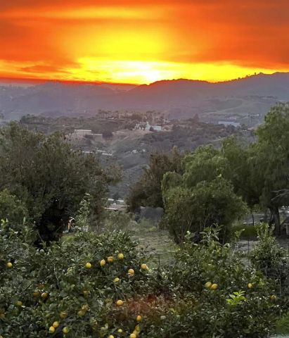 5741 Rainbow Heights Road, Fallbrook, CA 92028