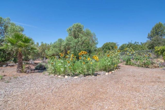 5741 Rainbow Heights Road, Fallbrook, CA 92028