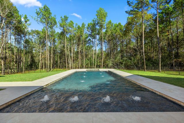 4801 Hawk Canyon Court, Montgomery, TX 77316