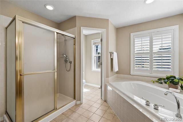 12794 S Robinson Ranch Drive, Parker, CO 80134