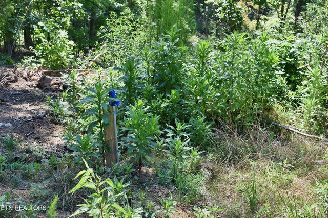 521 Norton Rd, Ten Mile, TN 37880