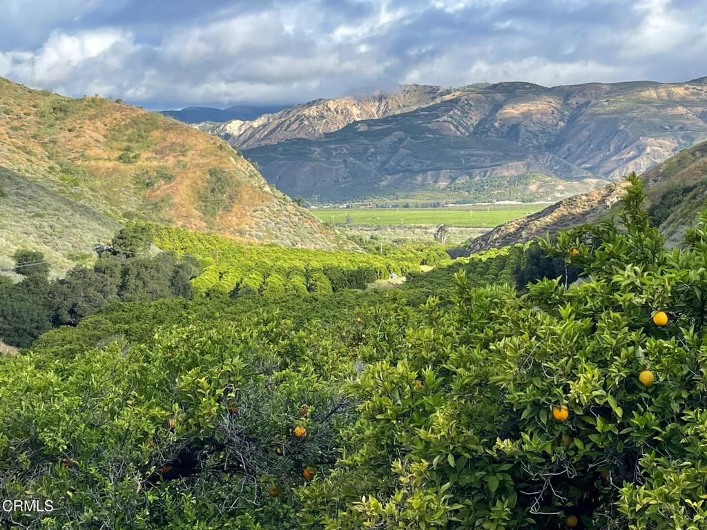 2500 , 2560 E Guiberson Road, Fillmore, CA 93015 — photo 2