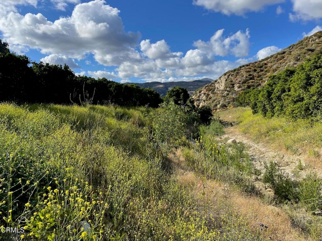 2500 , 2560 E Guiberson Road, Fillmore, CA 93015 — photo 4
