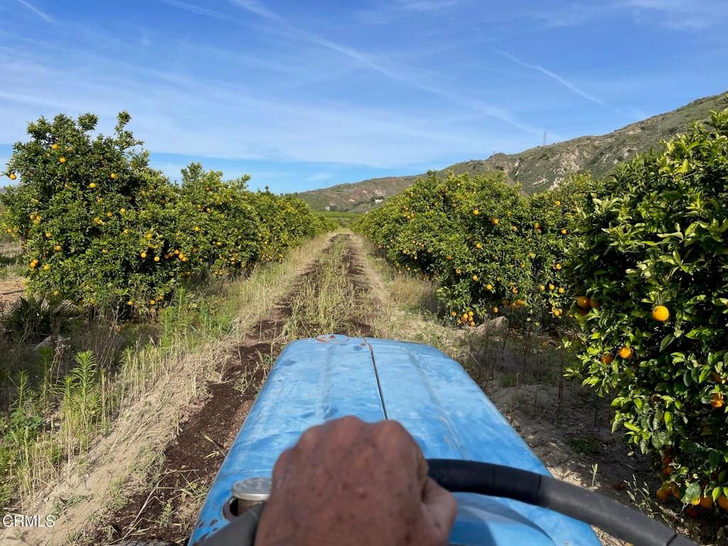 2500 , 2560 E Guiberson Road, Fillmore, CA 93015 — photo 5