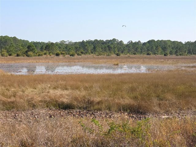 6345 PIEDMONT DRIVE, Spring Hill, FL 34606