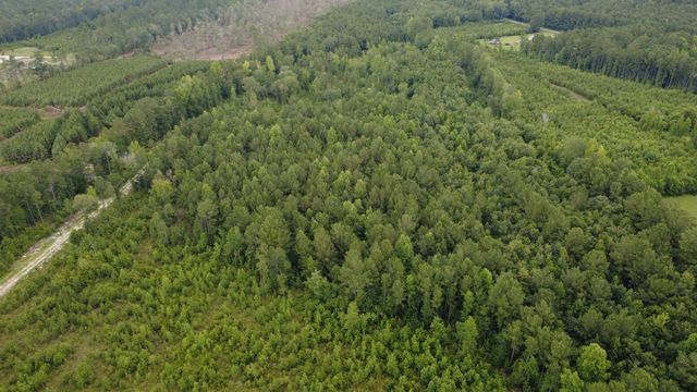 Lot A Fries Bay Rd., Loris, SC 29569