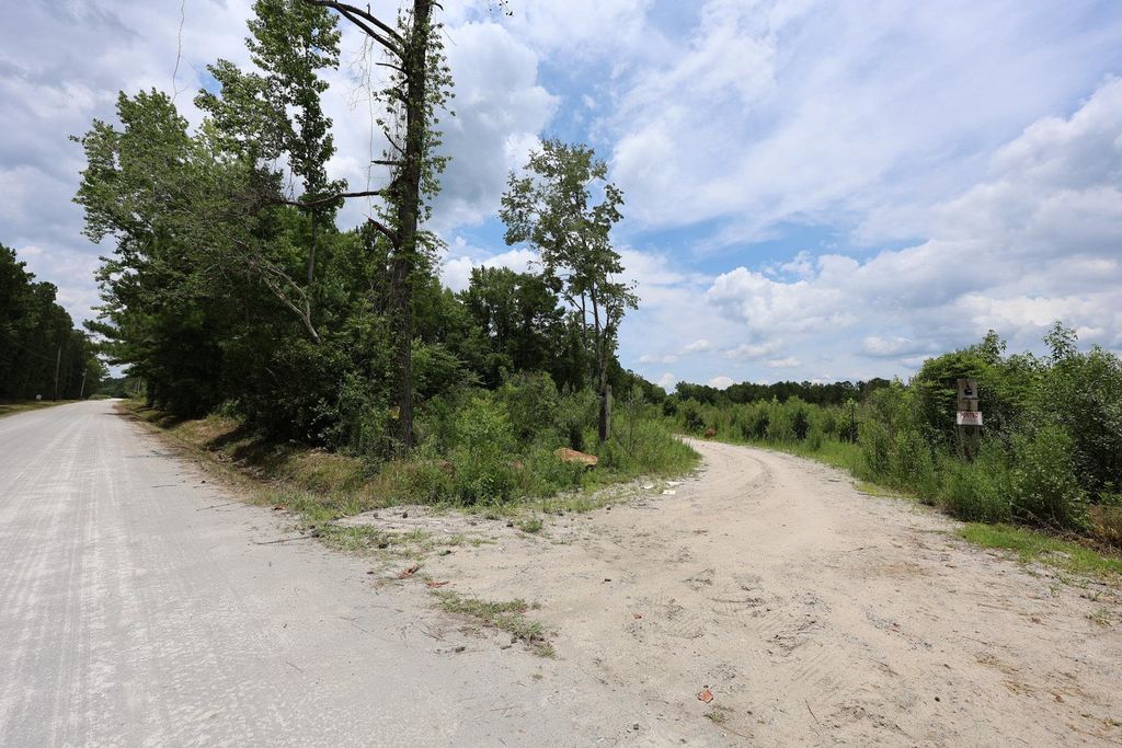 Lot A Fries Bay Rd., Loris, SC 29569 — photo 4
