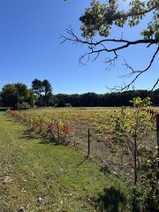 694 Pierce Road, Plainwell, MI 49080