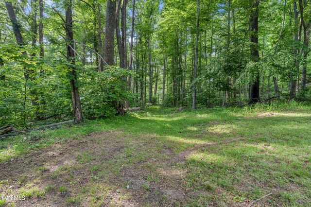 128 Lum Mcintosh Road, Erwin, TN 37650