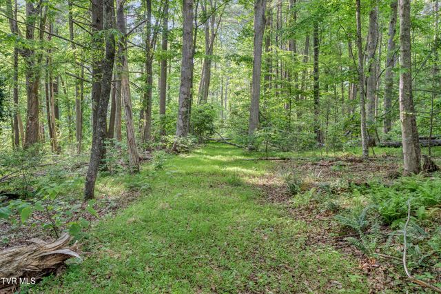 128 Lum Mcintosh Road, Erwin, TN 37650