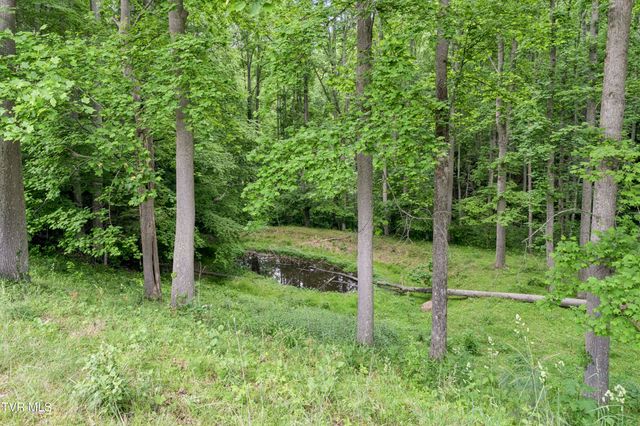 128 Lum Mcintosh Road, Erwin, TN 37650