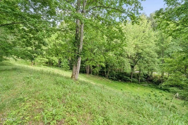 128 Lum Mcintosh Road, Erwin, TN 37650