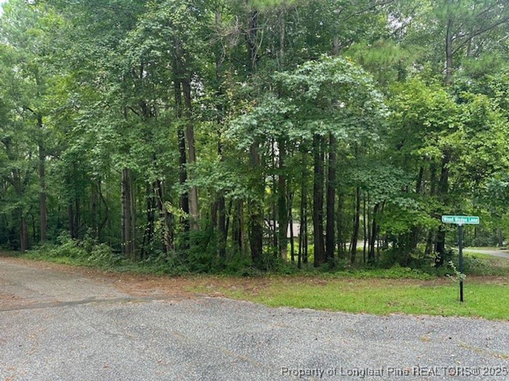 162 Woodwedge Way, Sanford, NC 27332