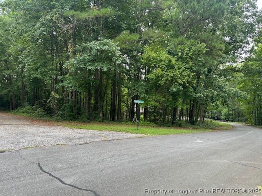 162 Woodwedge Way, Sanford, NC 27332 — photo 2