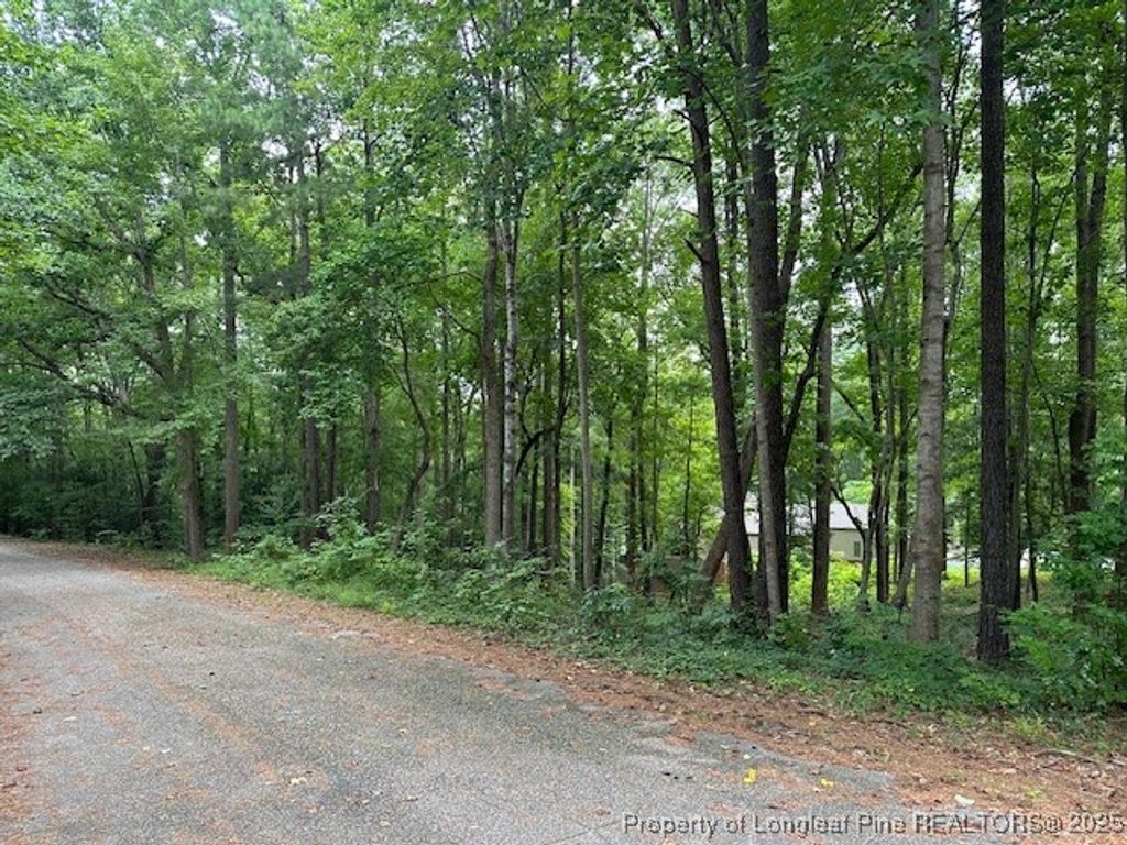 162 Woodwedge Way, Sanford, NC 27332 — photo 3