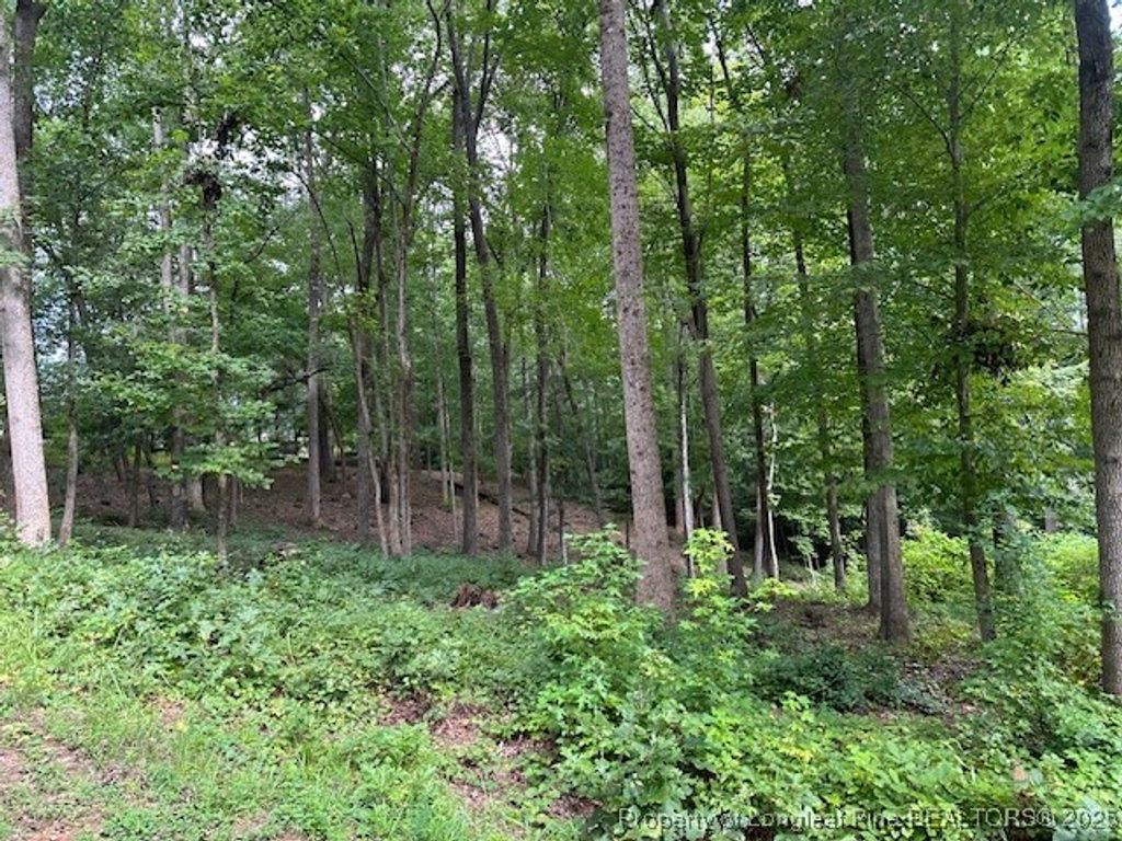 162 Woodwedge Way, Sanford, NC 27332 — photo 4