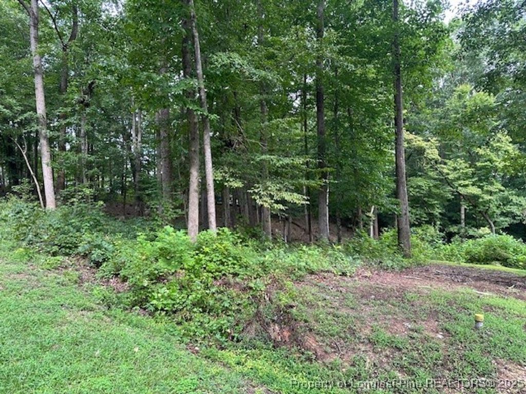 162 Woodwedge Way, Sanford, NC 27332 — photo 5