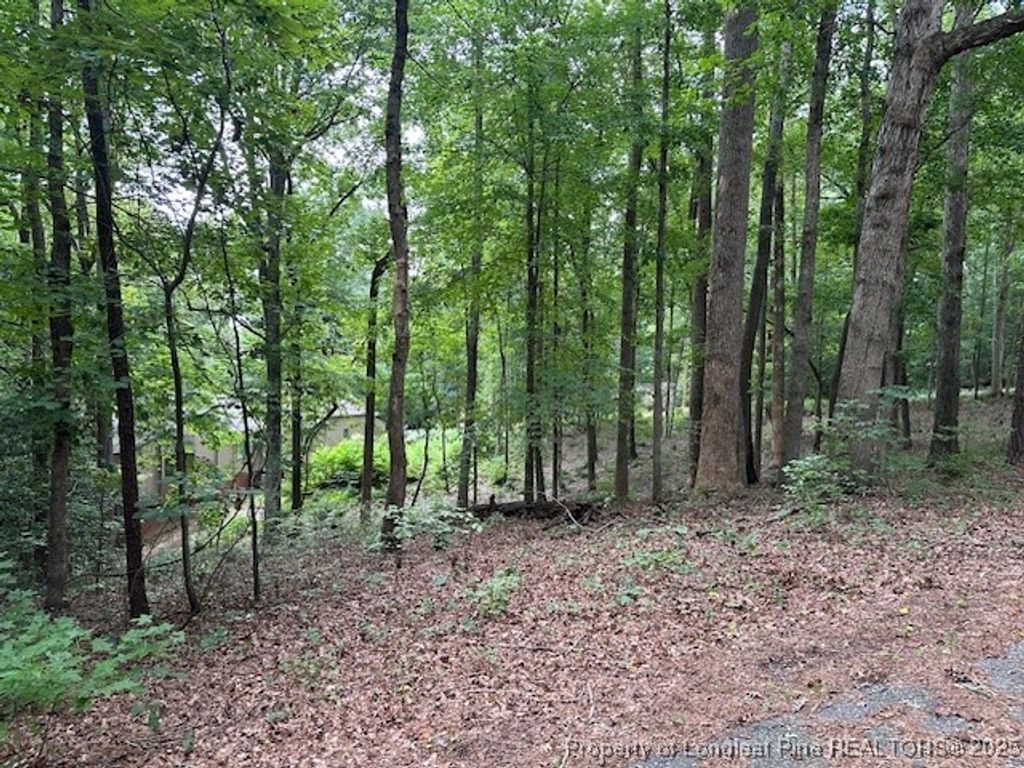 162 Woodwedge Way, Sanford, NC 27332 — photo 6