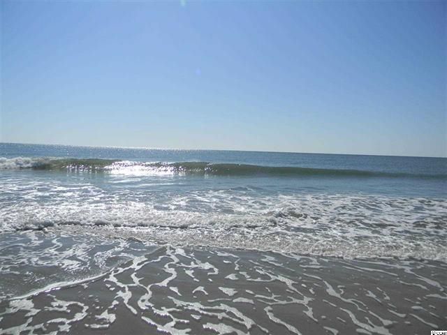 486 Camden Circle, Pawleys Island, SC 29585