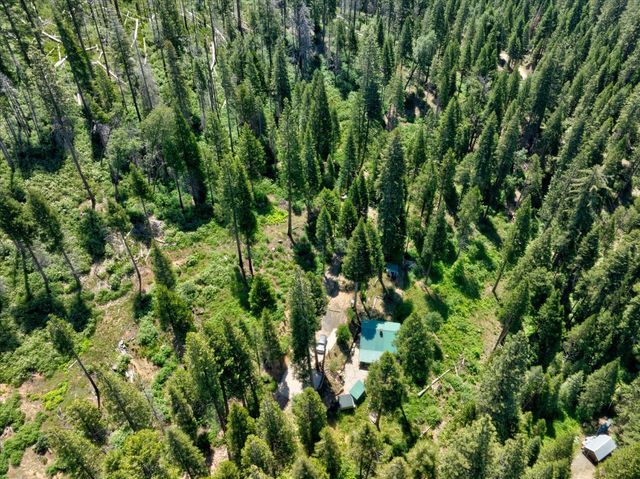 47824 Brammer Purl, Oakhurst, CA 93644