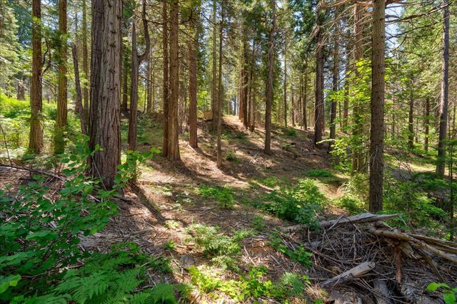 47824 Brammer Purl, Oakhurst, CA 93644