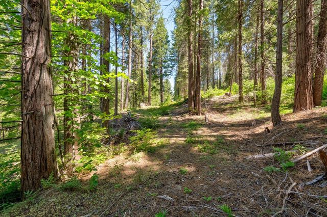 47824 Brammer Purl, Oakhurst, CA 93644