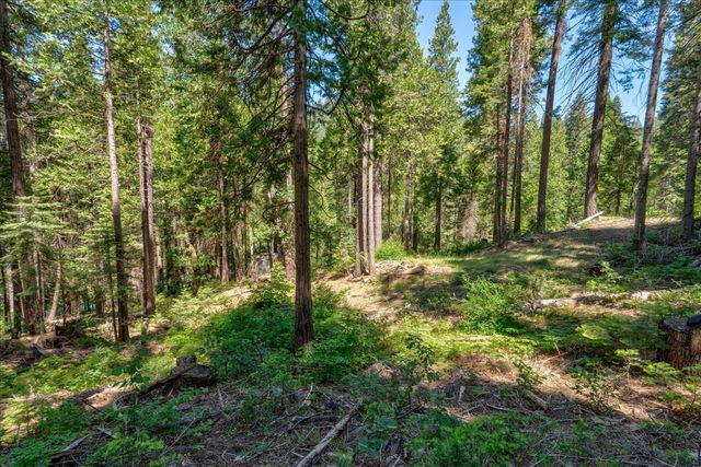 47824 Brammer Purl, Oakhurst, CA 93644