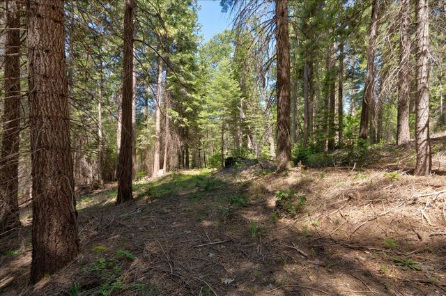 47824 Brammer Purl, Oakhurst, CA 93644