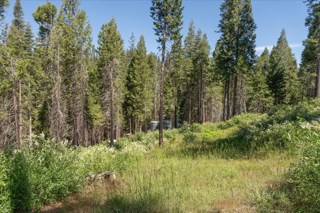 47824 Brammer Purl, Oakhurst, CA 93644