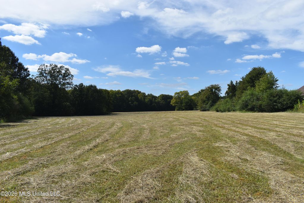 1400 S Byhalia Road, Collierville, TN 38017 — photo 4