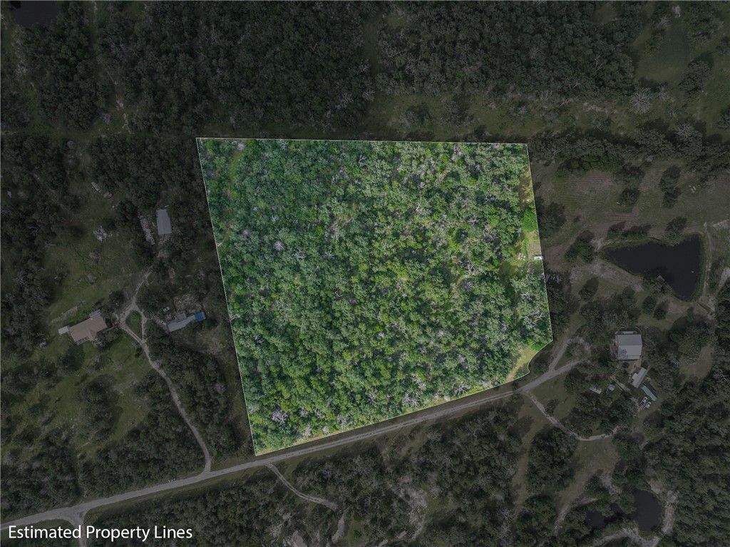 531 Moss Oak Drive, Somerville, TX 77879 — photo 2