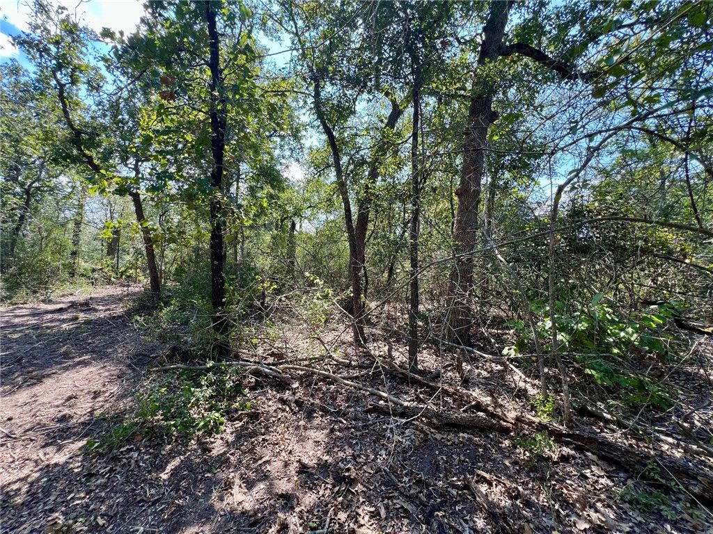 531 Moss Oak Drive, Somerville, TX 77879 — photo 3