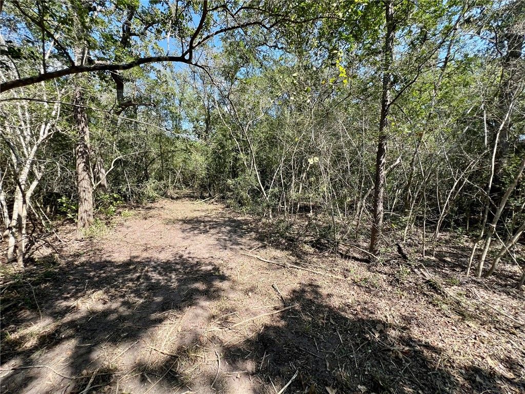 531 Moss Oak Drive, Somerville, TX 77879 — photo 4