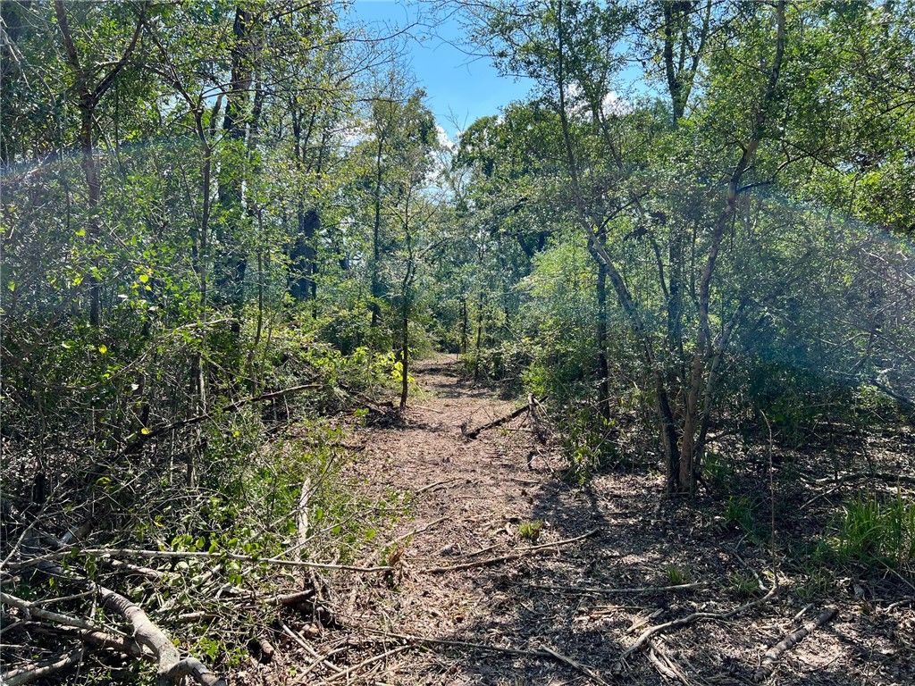 531 Moss Oak Drive, Somerville, TX 77879 — photo 5