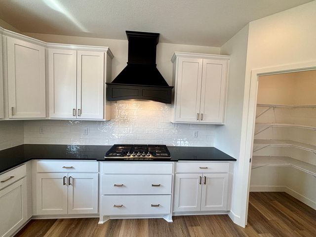 819 Walnut Grove Lane, Hanover, MN 55341
