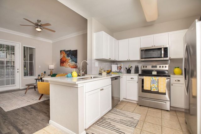 4001 Fannin Street 4741, Houston, TX 77004