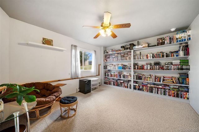 55 Crystal Peak Drive, Lake George, CO 80827