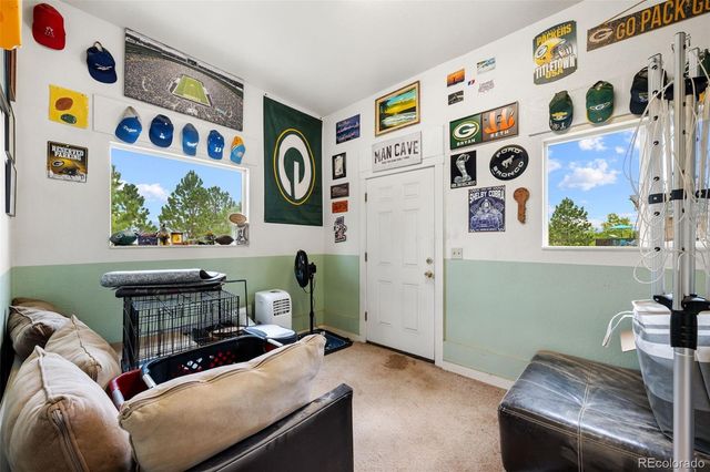 55 Crystal Peak Drive, Lake George, CO 80827