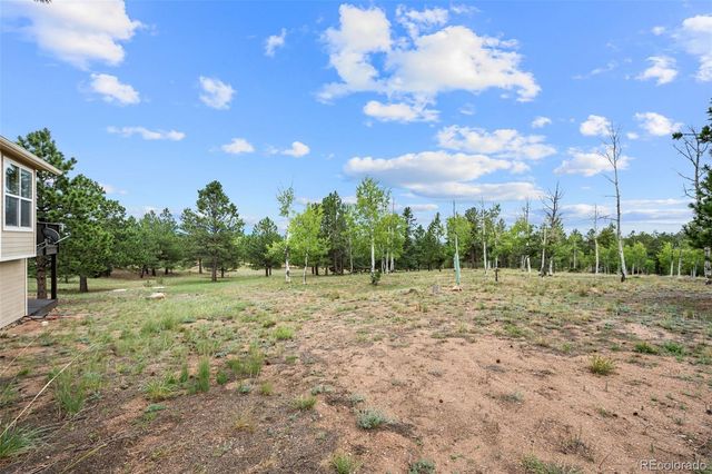 55 Crystal Peak Drive, Lake George, CO 80827