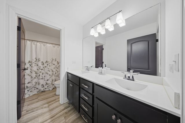 13042 Birch Path Court, Lemont, IL 60439