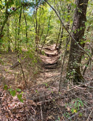 TBD County Road 2615, Bonham, TX 75418