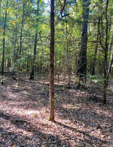 TBD County Road 2615, Bonham, TX 75418